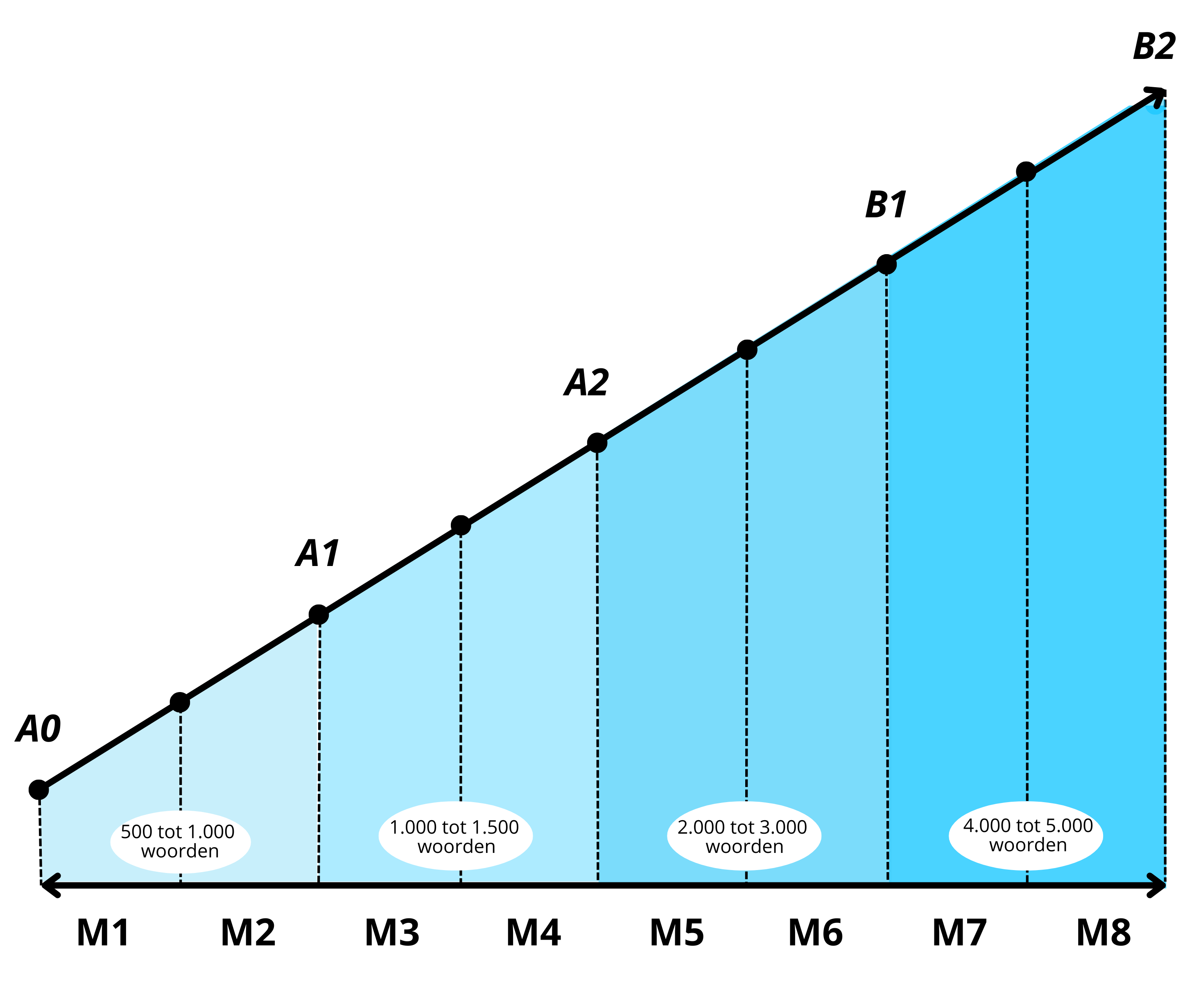 Modulen en niveaus CEF